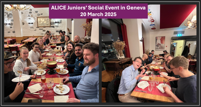 ALICE Juniors