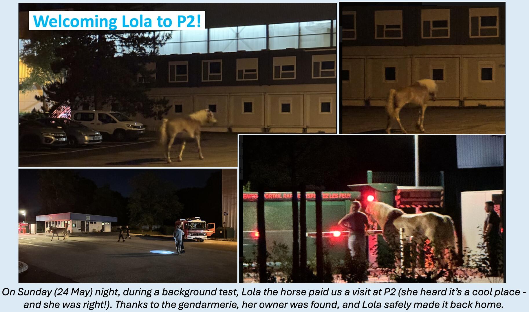 Lola at P2
