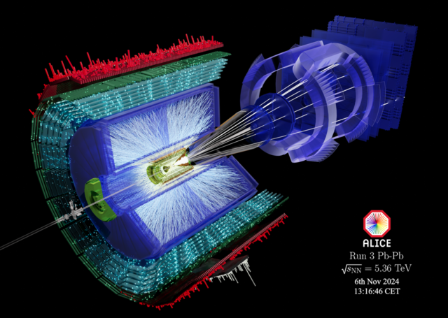 2024 Heavy Ion Run