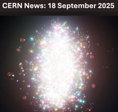 Light ion collisions