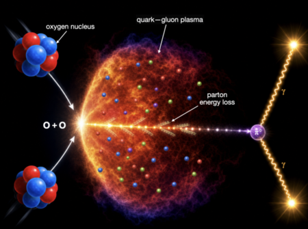 Oxygen collisions at the LHC